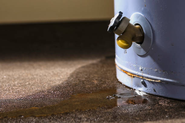  Stratford, WI Water damage restoration Pros