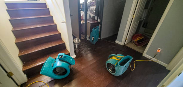 Best Flooded house restoration  in Stratford, WI