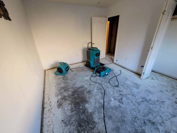 Best Water damage repair service  in Stratford, WI
