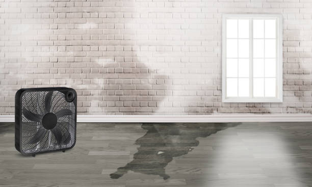 Water damage restoration mold remediation in Stratford, WI
