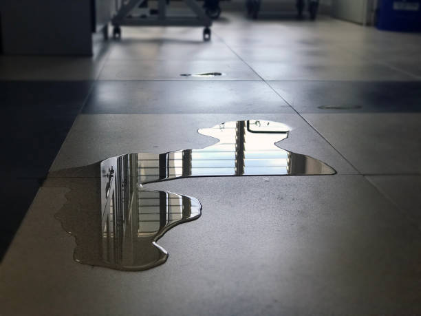 Best 24-hour water damage restoration  in Stratford, WI