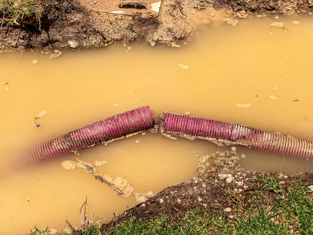 Best Flood damage cleanup  in Stratford, WI
