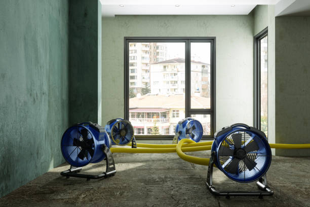 Best Basement water damage restoration  in Stratford, WI